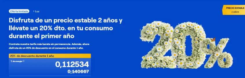 Folleto ENDESA Página 1