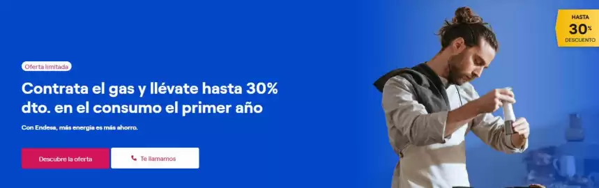 Folleto ENDESA Página 2