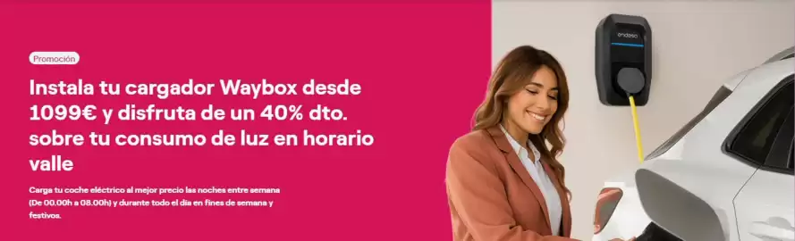 Folleto ENDESA Página 5