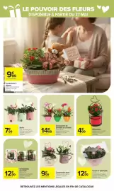 Catalogue Carrefour page 5
