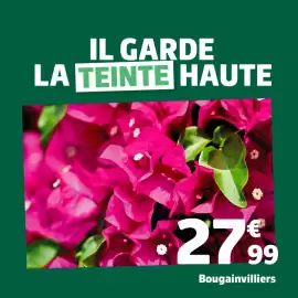 Catalogue Jardiland semaine 19 page 1