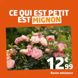 Catalogue Jardiland semaine 19 page 2