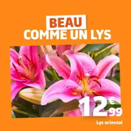 Catalogue Jardiland semaine 19 page 4