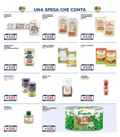 Volantino Esselunga | Paniere Benefico AIRC Pagina 4