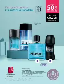 Catálogo Avon Página 17