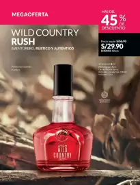 Catálogo Avon Página 97