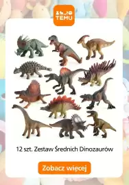 Temu gazetka Strona 17