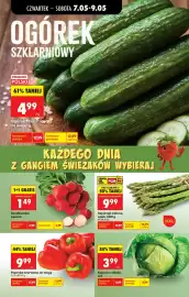 Biedronka gazetka tydzień 19 Strona 26