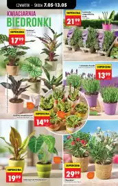 Biedronka gazetka tydzień 19 Strona 86