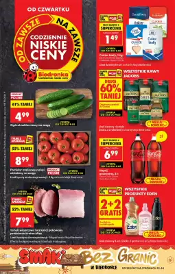 Biedronka gazetka