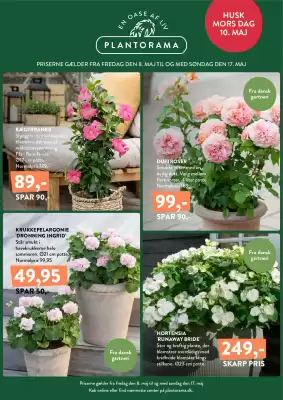 Plantorama (gælder indtil 17-05)