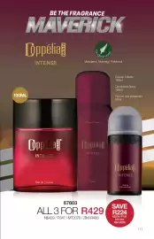 Avroy Shlain catalogue Page 11