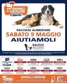 Volantino Il Gigante Pagina 6