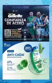 Folleto Supermercados DIA semana 19 Página 11