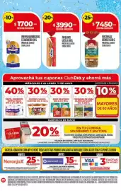 Folleto Supermercados DIA semana 19 Página 13