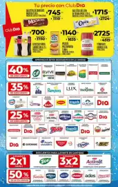 Folleto Supermercados DIA semana 19 Página 2
