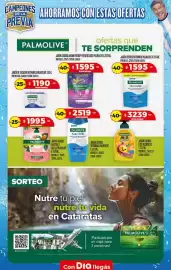 Folleto Supermercados DIA semana 19 Página 31