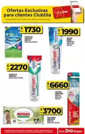 Folleto Supermercados DIA semana 19 Página 33