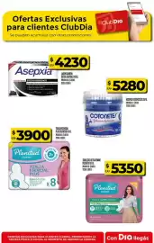Folleto Supermercados DIA semana 19 Página 34