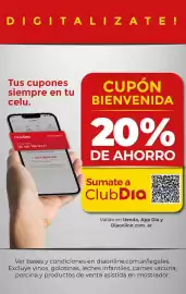 Folleto Supermercados DIA semana 19 Página 35