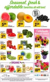 Food Lion weekly ad week 19 Page 2