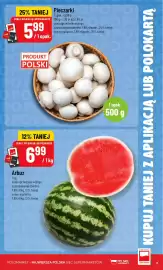Polomarket gazetka tydzień 19 Strona 13