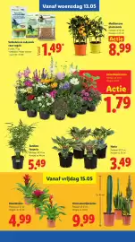 Lidl folder week 20 Pagina 31