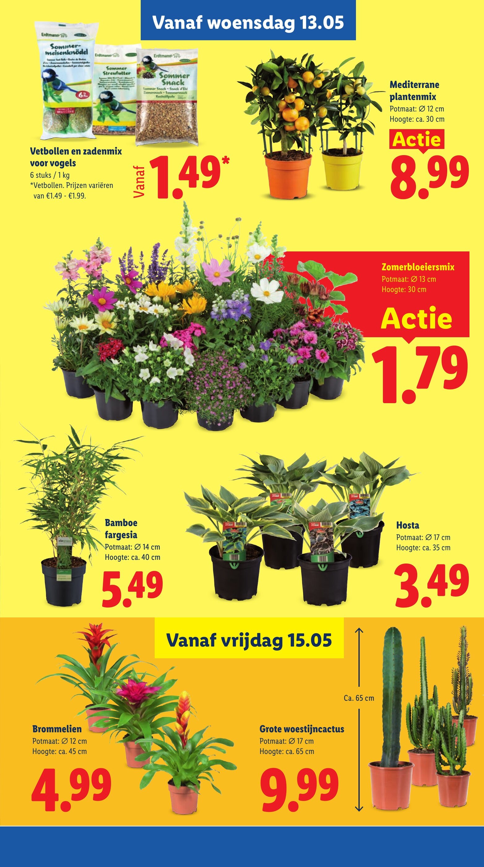 Lidl 有效期：11/05-17/05 32