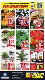 B1 Discount Baumarkt Prospekt woche 19 Seite 8