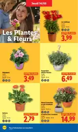 Catalogue Lidl semaine 20 page 24