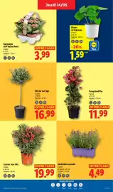 Catalogue Lidl semaine 20 page 25