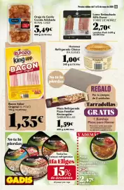 Folleto Gadis semana 19 Página 14