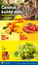 Lidl leták Strana 10