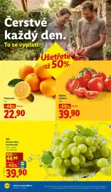 Lidl leták Strana 10