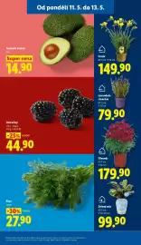 Lidl leták Strana 11