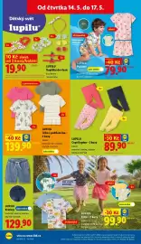 Lidl leták týden 20 Strana 21