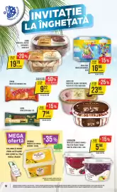 Catalog Mega Image săptămâna 19 Pagină 10