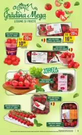 Catalog Mega Image săptămâna 19 Pagină 3
