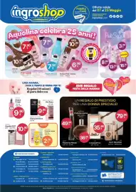 Volantino Ingroshop Pagina 8