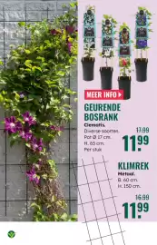 GroenRijk folder week 19 Pagina 18