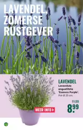 GroenRijk folder week 19 Pagina 7
