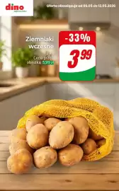 Dino gazetka tydzień 19 Strona 3