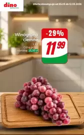 Dino gazetka tydzień 19 Strona 9