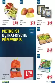 Metro Flugblatt Seite 15