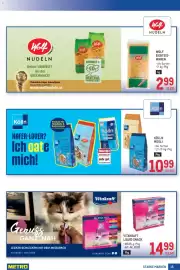 Metro Flugblatt Seite 15