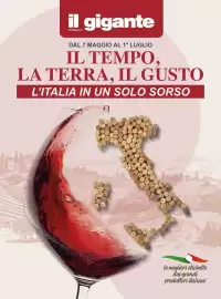 Volantino Il Gigante Pagina 1
