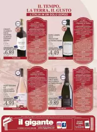 Volantino Il Gigante Pagina 12