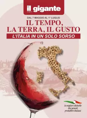 Volantino Il Gigante (valido fino al 14-06)