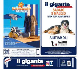 Volantino Il Gigante Pagina 38