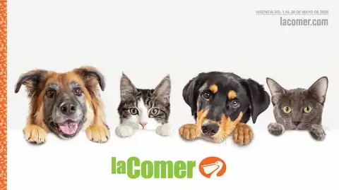 Folleto La Comer Página 1